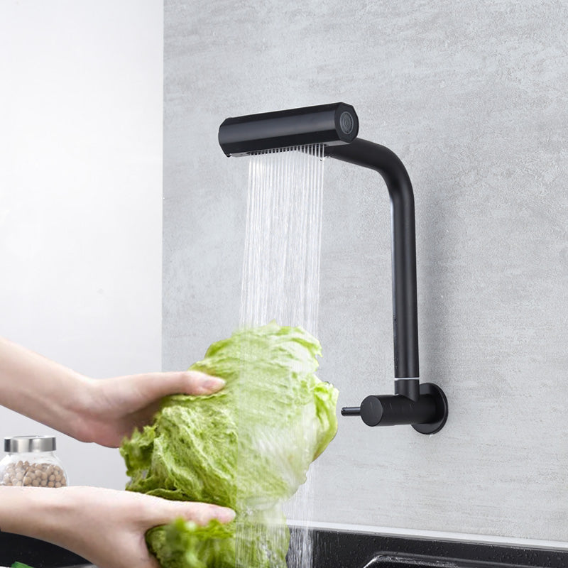 Multi-Mode Faucet, 4 Functions, Stainless Steel, Black