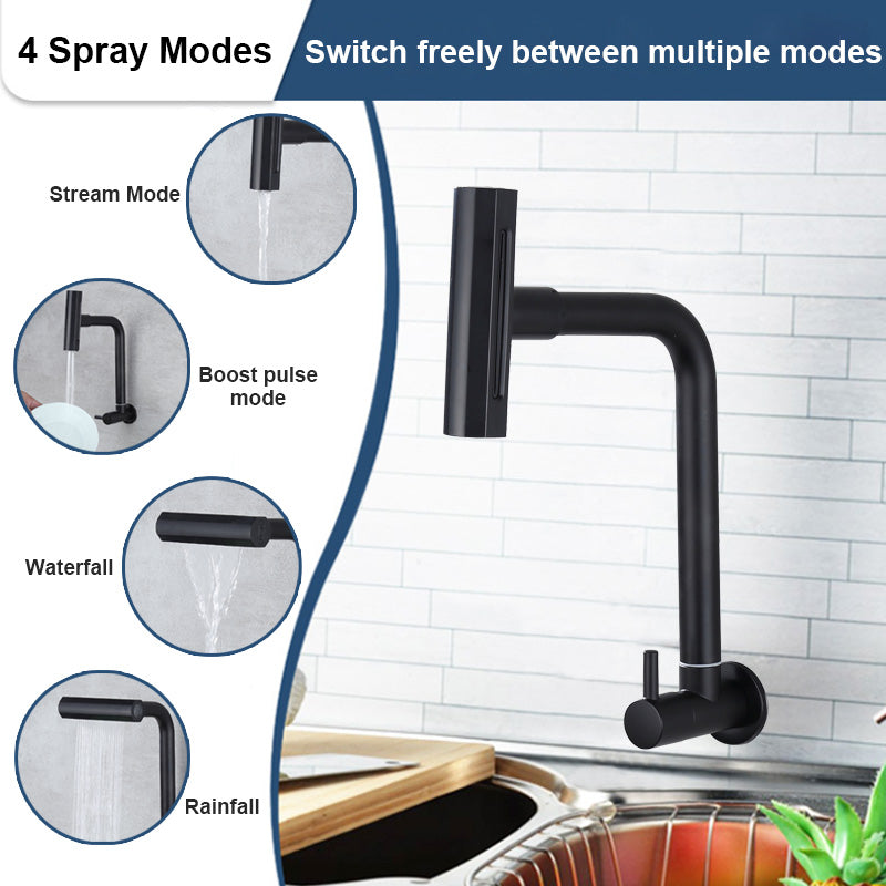 Multi-Mode Faucet, 4 Functions, Stainless Steel, Black